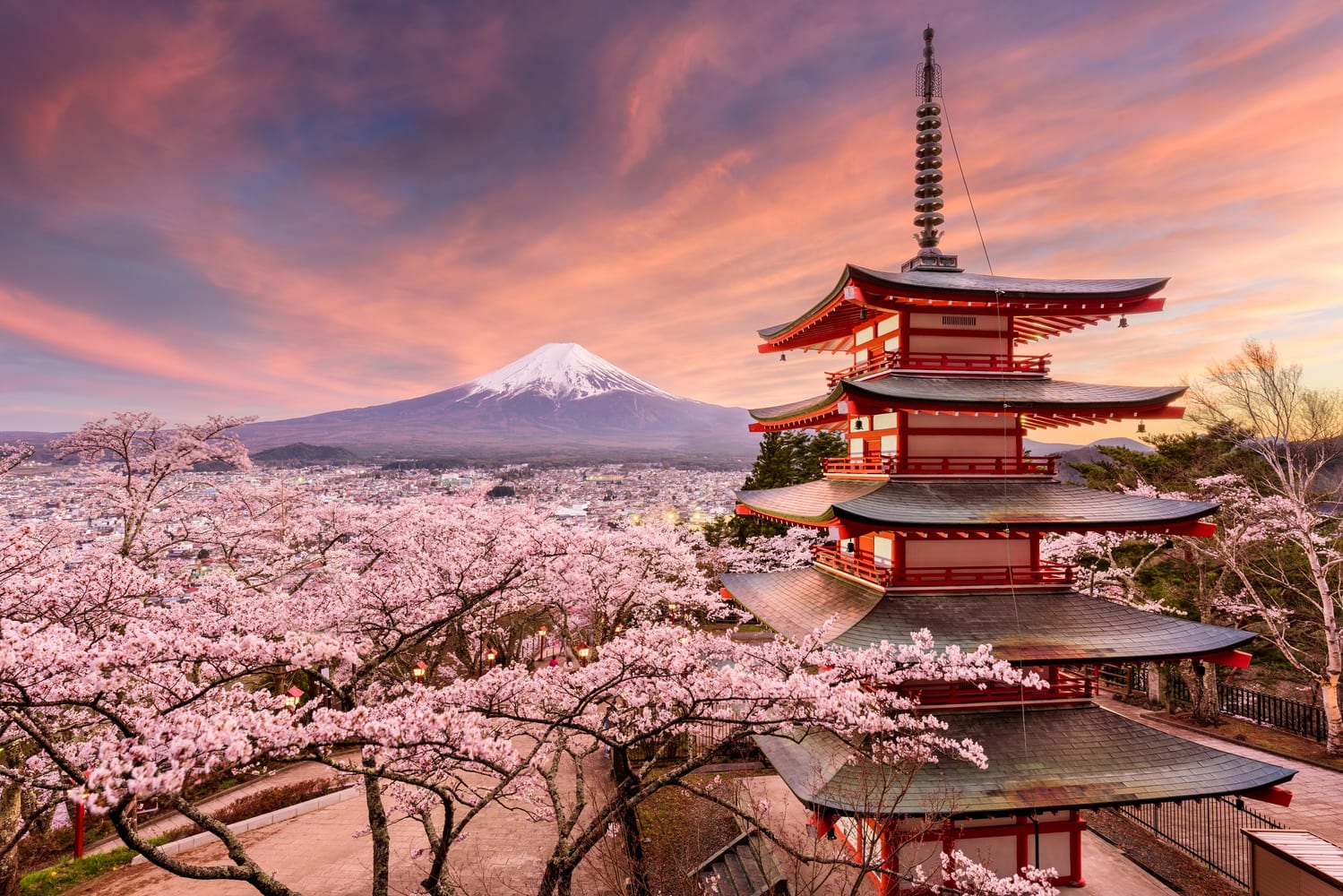 Twin City Lights: Tokyo–Osaka