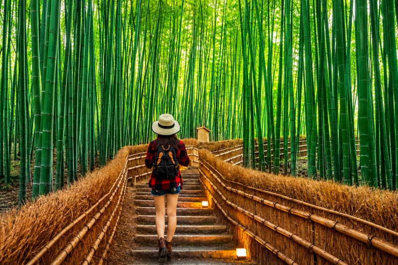Arashiyama Bamboo Grove (with Matcha & Kimono Experience)