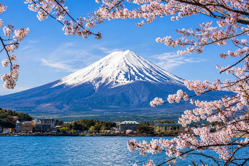Mt. Fuji Area
