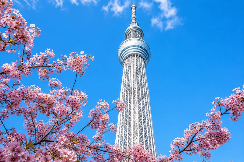 Tokyo Skytree